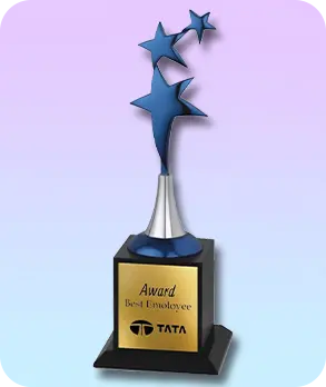 Customized corporate trophies